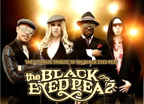 Black Eyed Peas